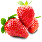 piantine-di-fragole.it