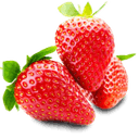 piantine-di-fragole.it